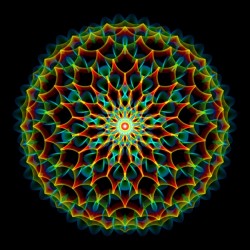 Neon Flower